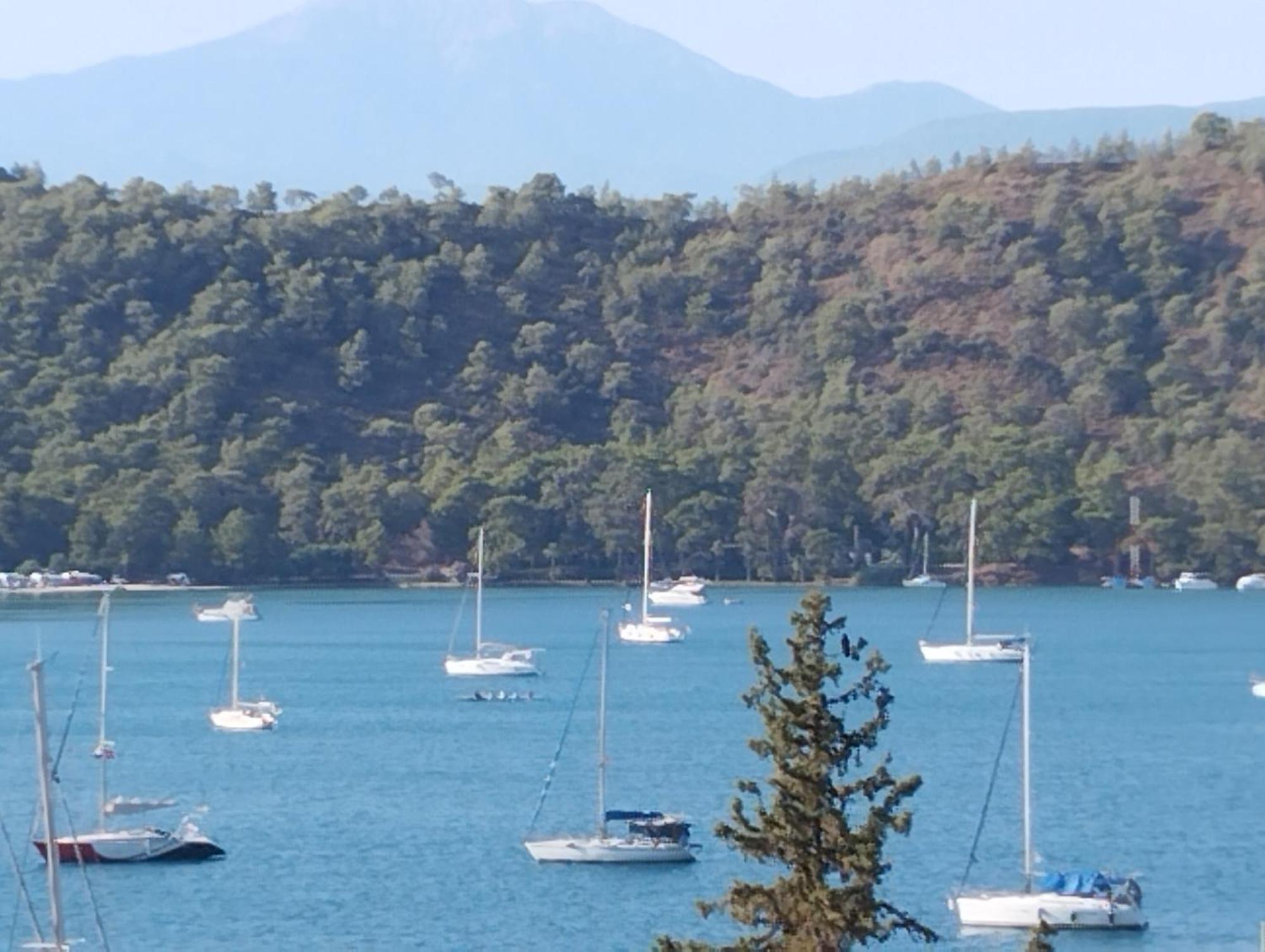 Duygu Apart Spellbinding Sea Views Fethiye Rom bilde
